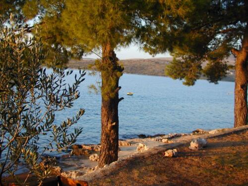camp tomas primosten bilo croatia