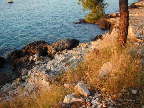 camp tomas primosten bilo croatia