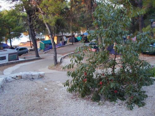 camp tomas primosten bilo croatia