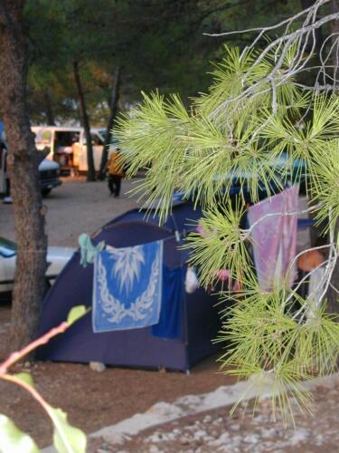 camp tomas primosten bilo croatia